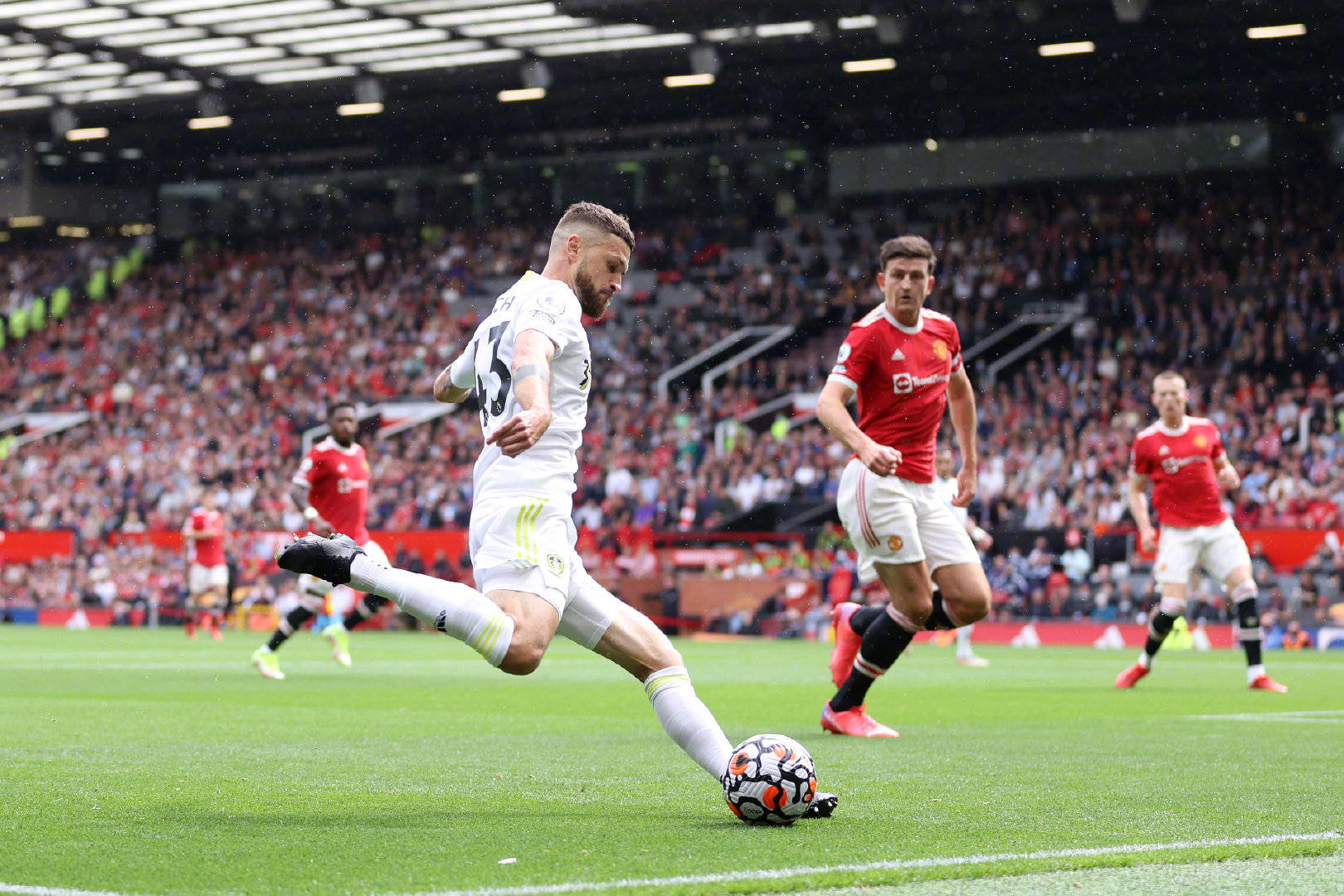 地区和平的 地区和平的